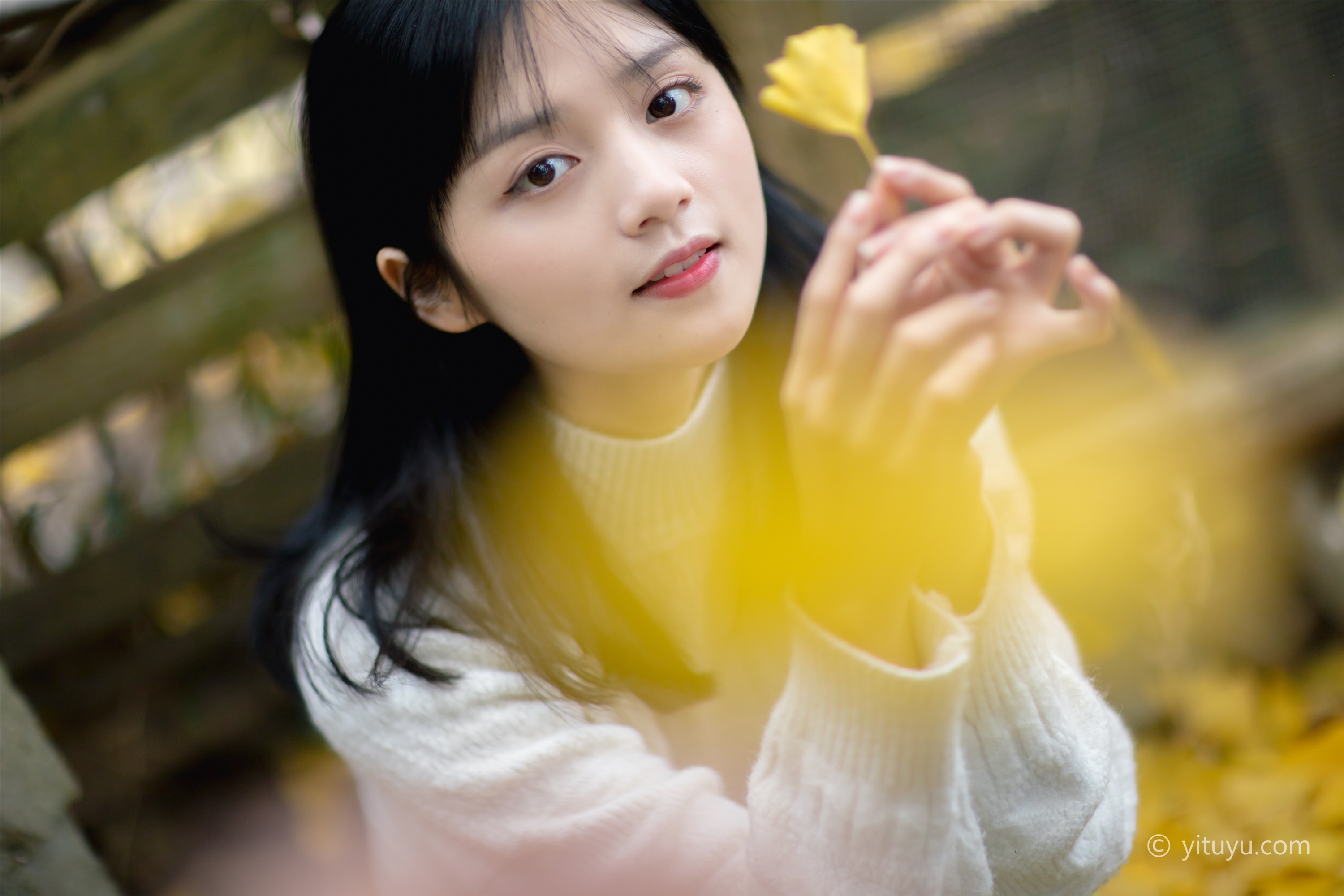 YITUYU艺图语 2021.08.14 银杏之恋 雨文